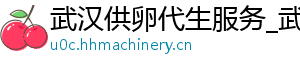 武汉供卵代生服务_武汉供卵医院_武汉供卵代生机构	